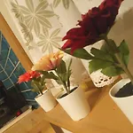 Ozike-lak A Boerzsoenyben Verőcemaros