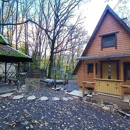 Ozike-lak A Boerzsoenyben Holiday home *