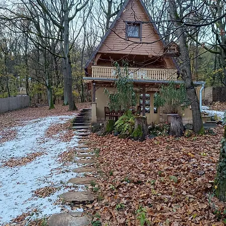 Ozike-lak A Boerzsoenyben Verőcemaros