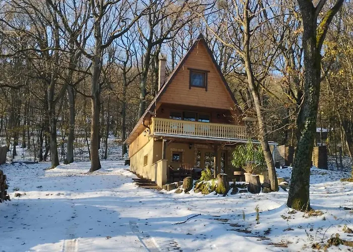 Ozike-lak A Boerzsoenyben Casa vacanze
